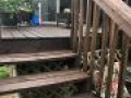 TWP 103 Dark Oak on Pine Deck Stairs