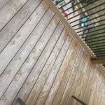IMG_8599